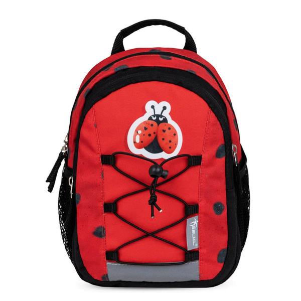305-9 Ladybug