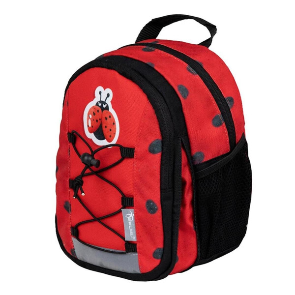 305-9 Ladybug