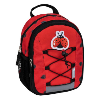 305-9 Ladybug