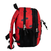 305-9 Ladybug