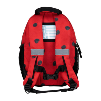 305-9 Ladybug