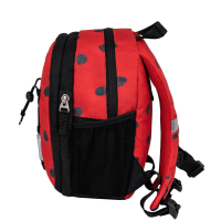 305-9 Ladybug