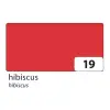 19 - Hibiscus