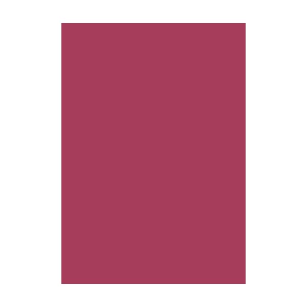 HEYDA Krepppapier 50 x 250 cm Tulpenrot