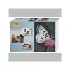 3605 Schmetterling