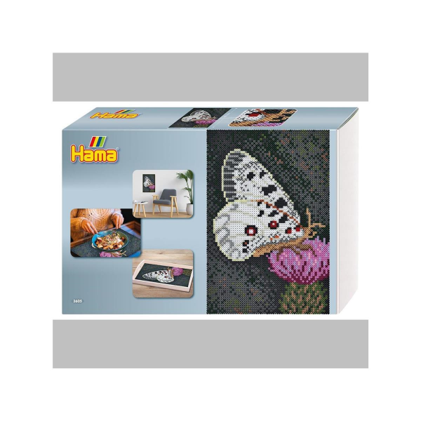 3605 Schmetterling